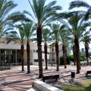 המכללה האיזורית כנרת בעמק הירדן